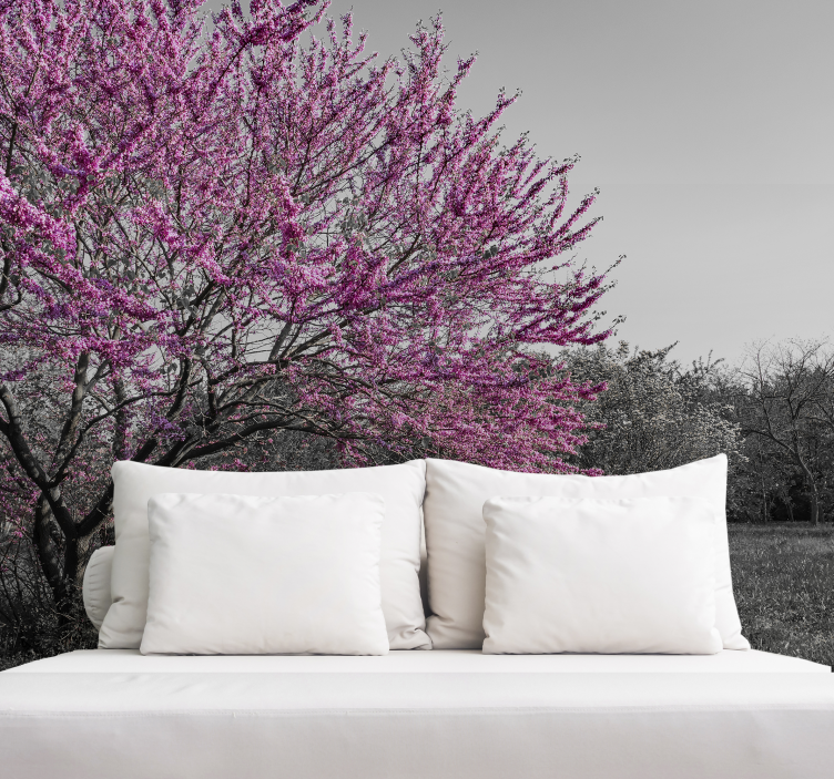 Fototapeter blommor körsbärsträd - Tenstickers