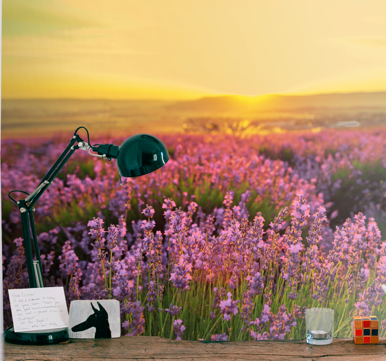 Fototapeter blommor lavendeläng dusk - Tenstickers