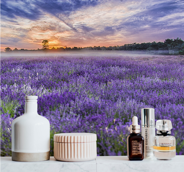 Fototapeter blommor lavendelfält skymning - Tenstickers