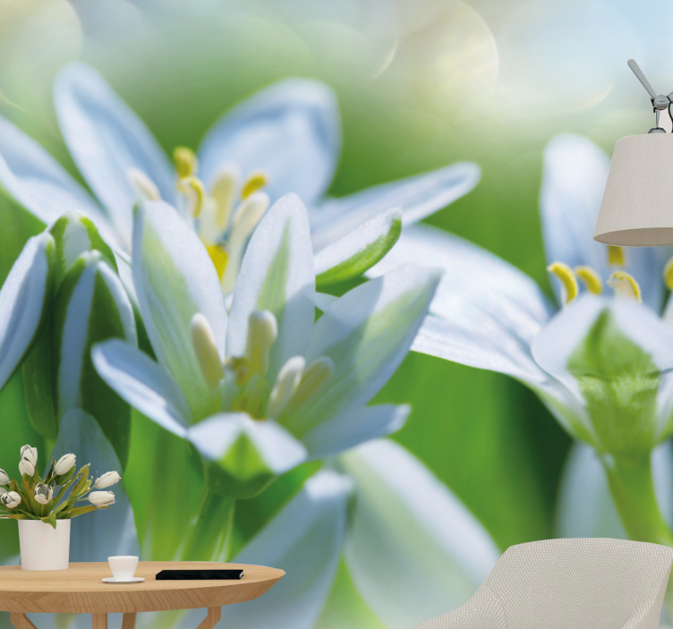 Fototapeter blommor milda vita blommor - Tenstickers