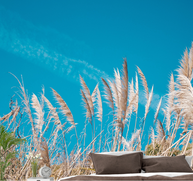 Fototapeter blommor pampasgräs harmoni - Tenstickers