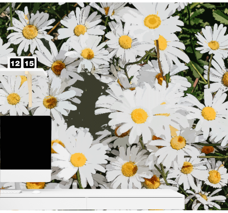Fototapeter blommor prästkrageblomma fält - Tenstickers