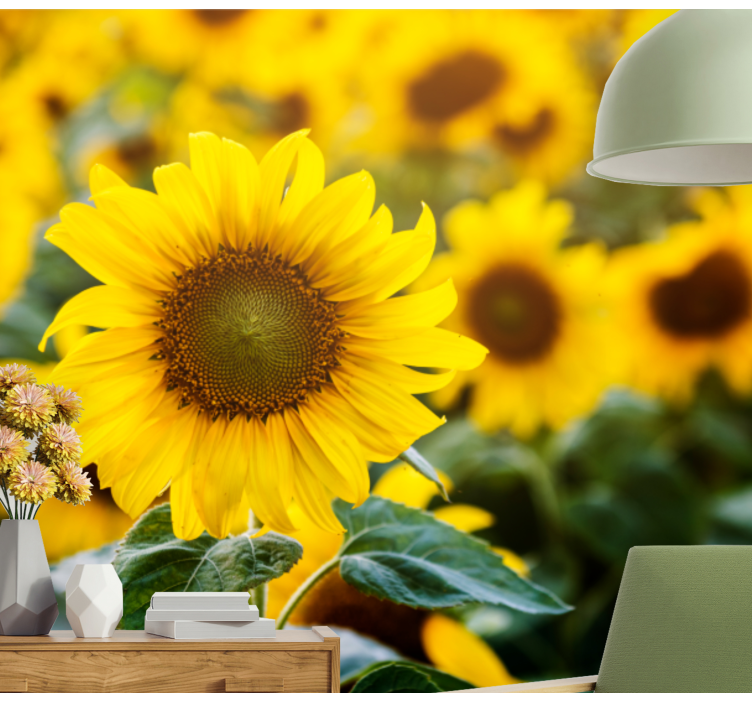 Fototapeter blommor solrosfält blomma - Tenstickers