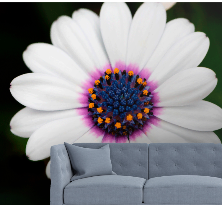 Fototapeter blommor vit blomsterblomstring - Tenstickers