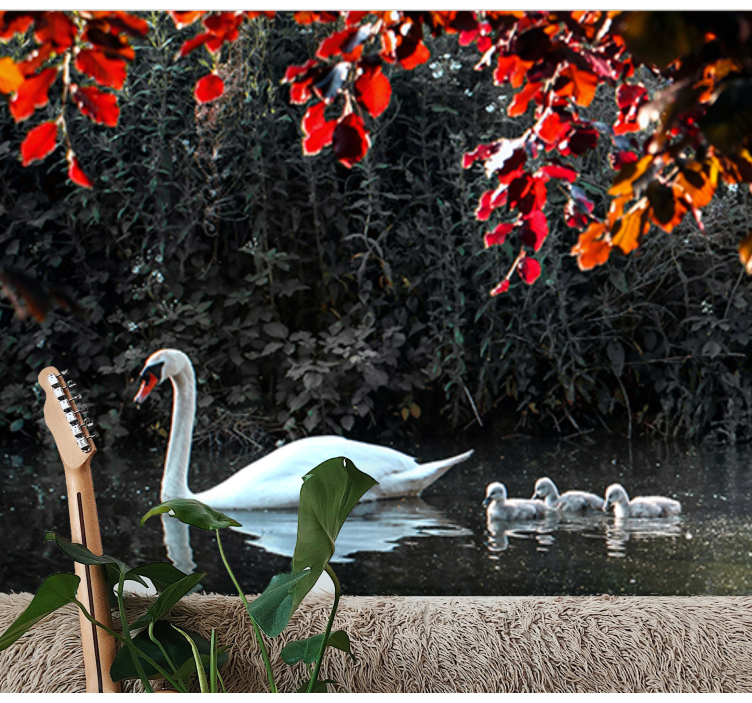 Fototapeter djur elegant svanfamilj - Tenstickers