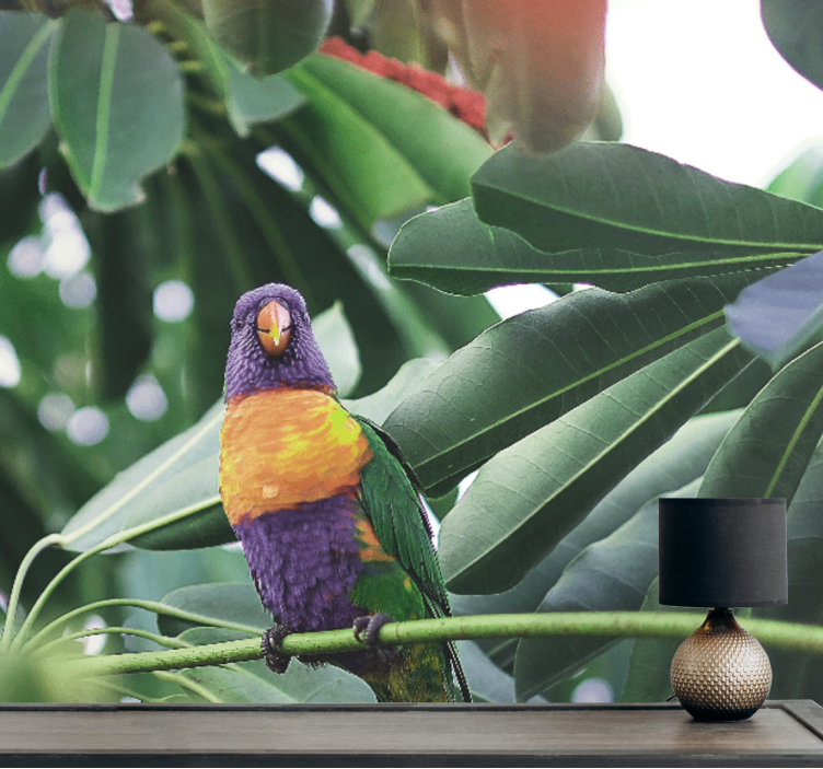 Fototapeter djur färgglad papegoja på gren - Tenstickers