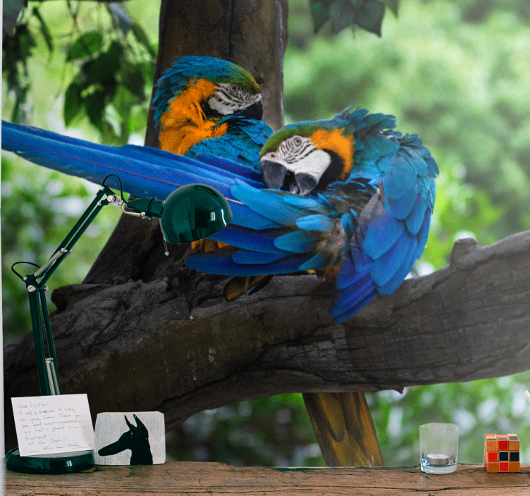 Fototapeter djur färgglada ara par - Tenstickers