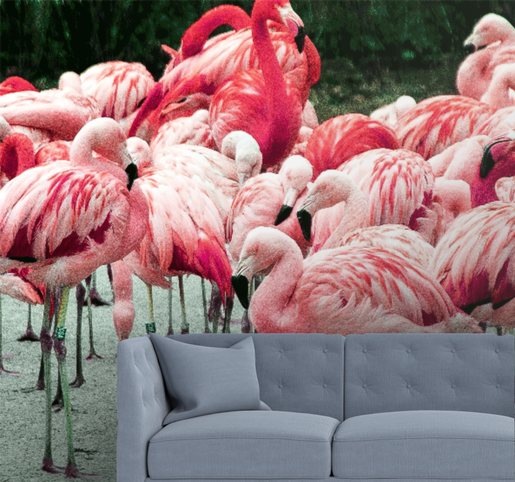 Fototapeter djur flamingo flock - Tenstickers