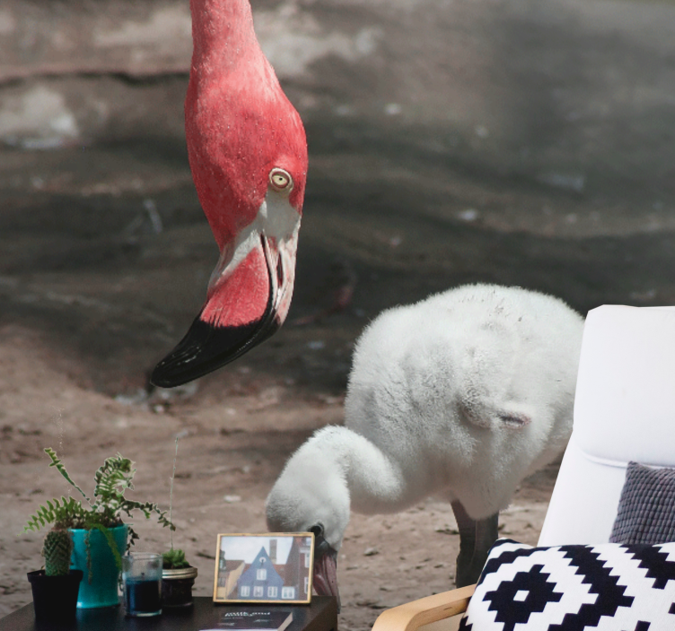 Fototapeter djur flamingo kyckling - Tenstickers