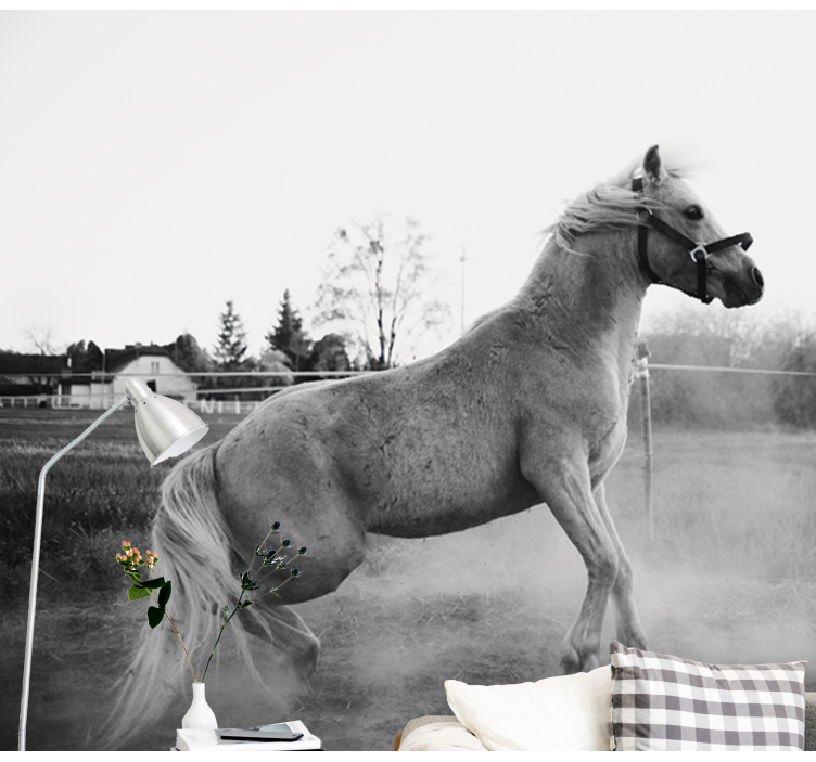 Fototapeter djur galopperande ponny - Tenstickers