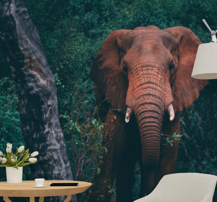 Fototapeter djur majestätisk elefant närvaro - Tenstickers