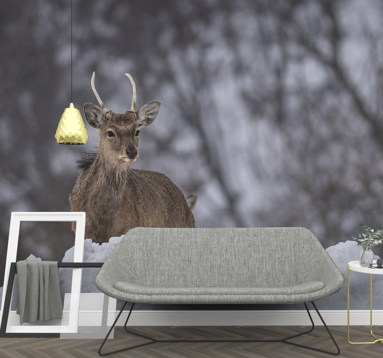 Fototapeter djur rådjur i snö - Tenstickers