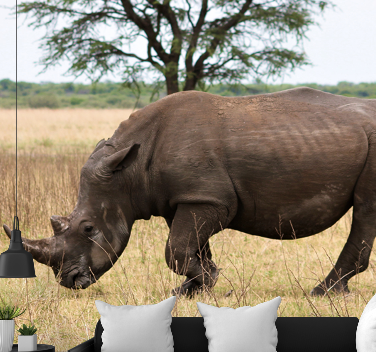 Fototapeter djur rhinocerus betande serengeti - Tenstickers