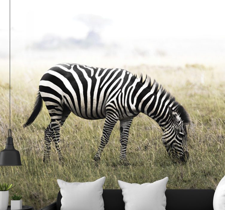 Fototapeter djur zebra betande i lugn - Tenstickers