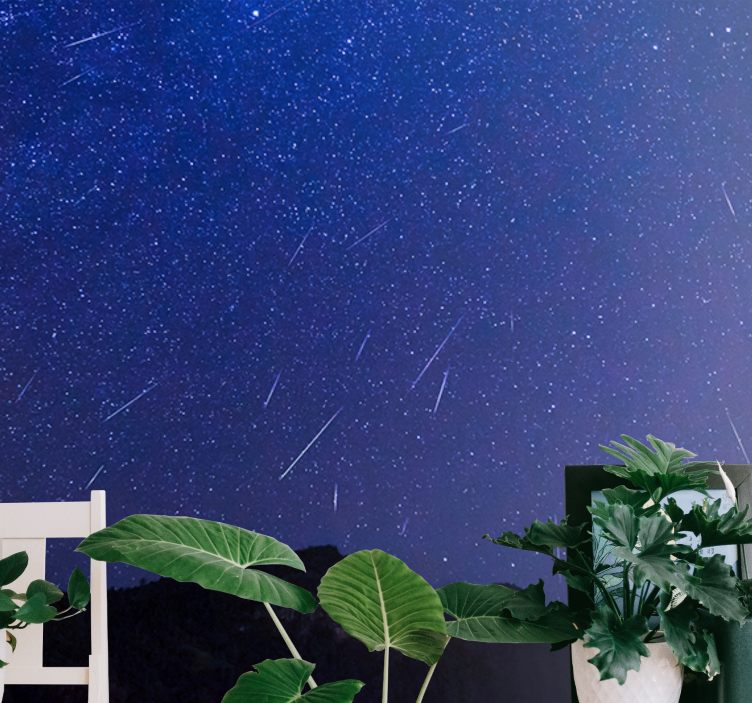 Fototapeter fjäll himlavalvets kometnatt - Tenstickers