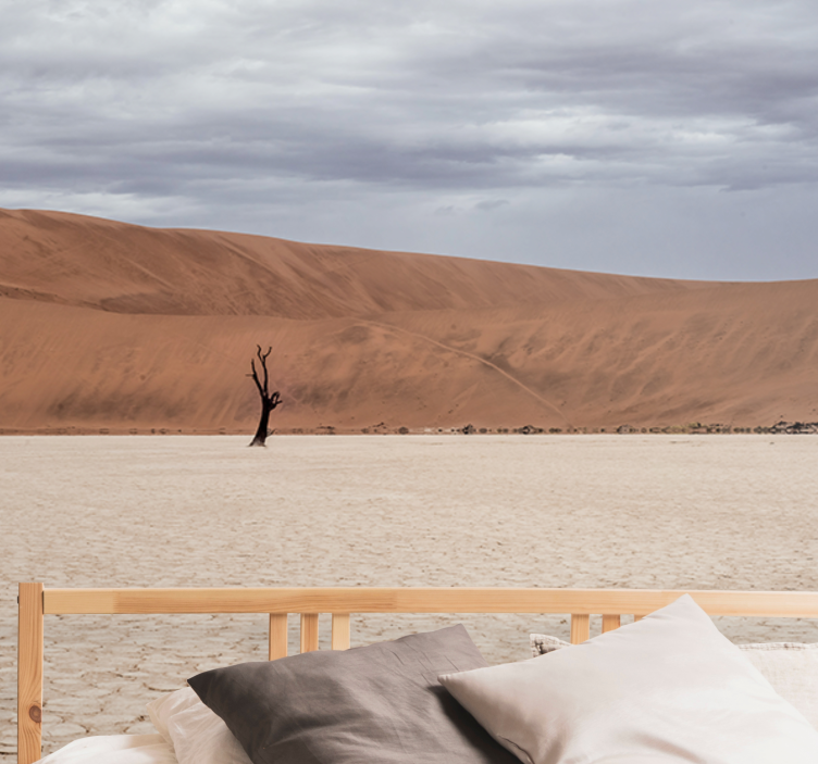 Fototapeter fjäll Ökenlandskap utsikt - Tenstickers