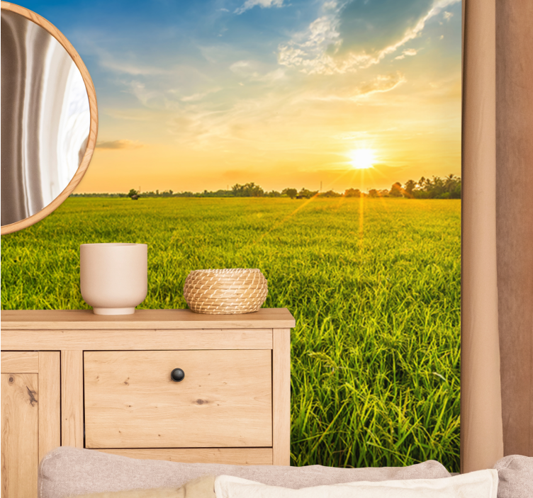 Fototapeter landskap solnedgång Över gröna fält - Tenstickers