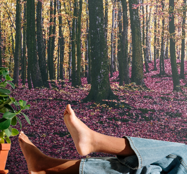 Fototapeter natur fridfull skogsscen - Tenstickers