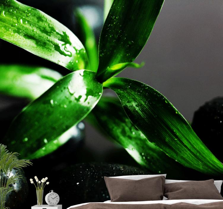 Fototapeter natur friska blad textur - Tenstickers