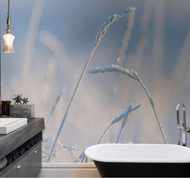 Fototapeter natur frostiga grästoppar - Tenstickers