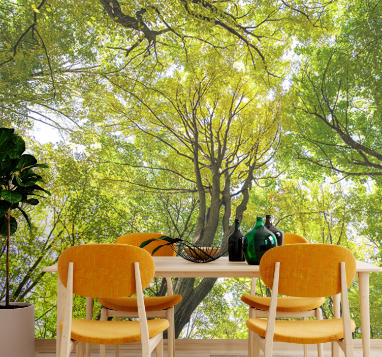 Fototapeter natur grönskande skogskrona - Tenstickers