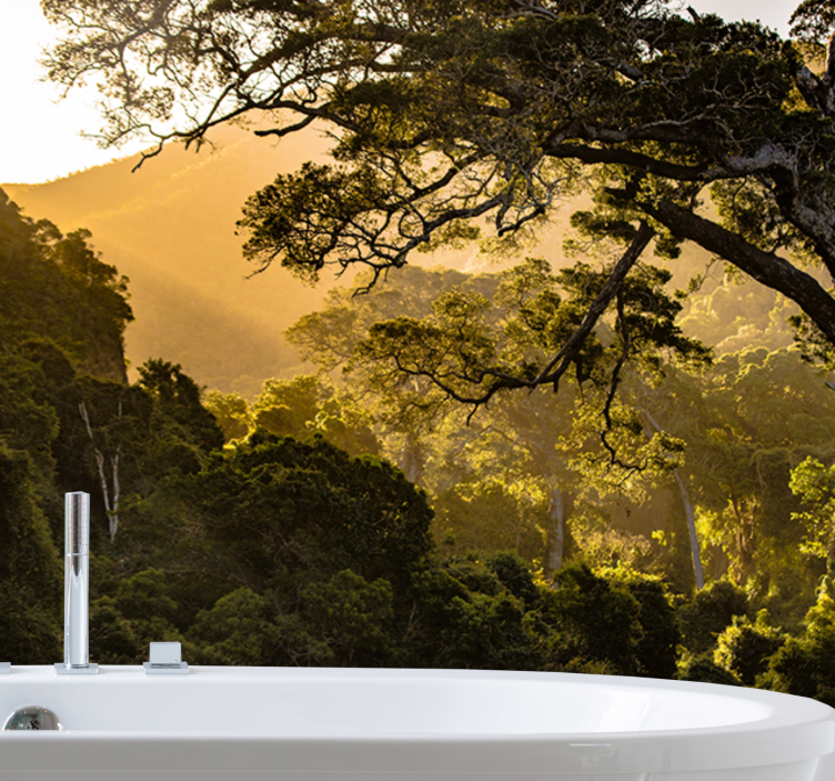 Fototapeter natur grönskande skogsmiljö - Tenstickers