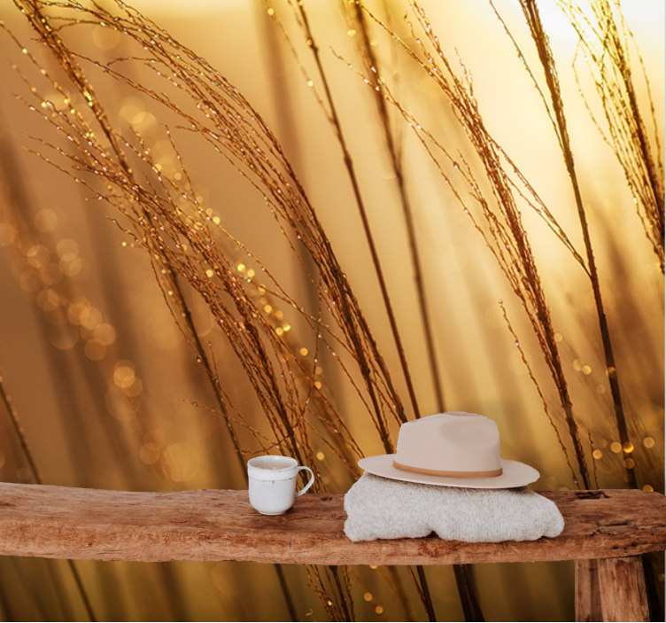 Fototapeter natur mjuk gyllene gräs - Tenstickers