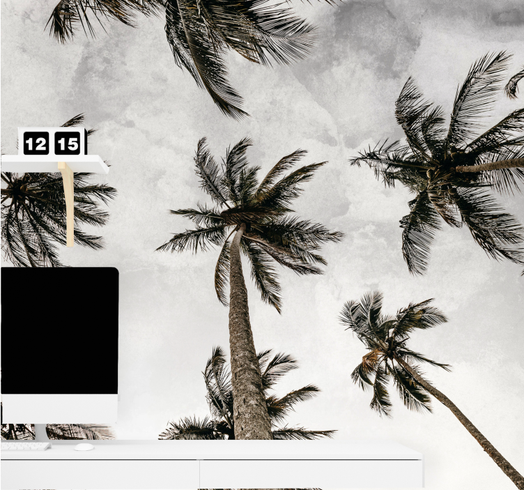 Fototapeter natur palmträdskåpa - Tenstickers