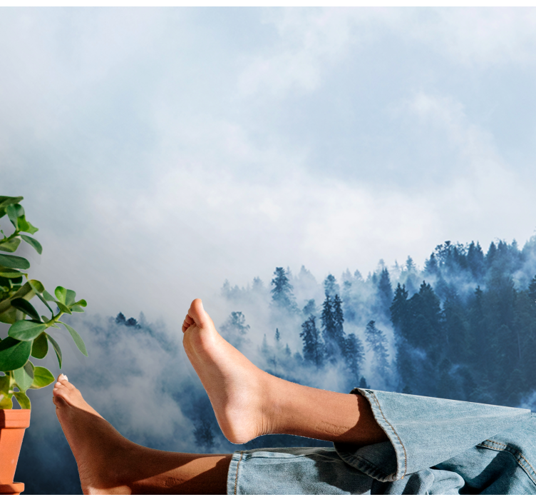 Fototapeter natur skogsdimmig landskap - Tenstickers