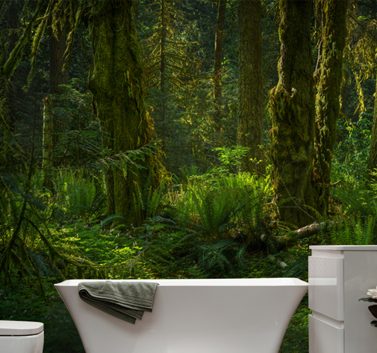 Fototapeter natur stilla skog retreat - Tenstickers