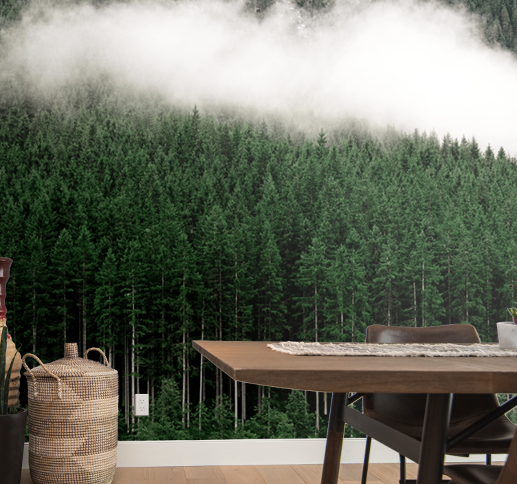 Fototapeter natur storslagen skogsscenery - Tenstickers