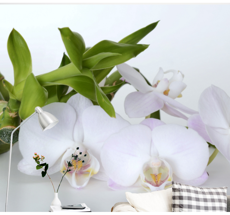 Fototapeter orkidéer elegant orchidéarrangemang - Tenstickers