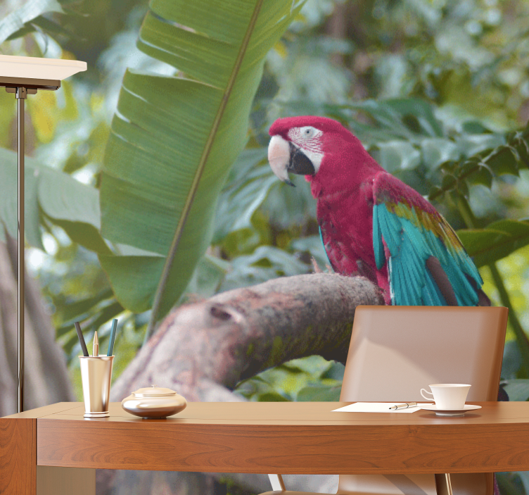 Fototapeter Övriga djur färgglad ara papegoja - Tenstickers