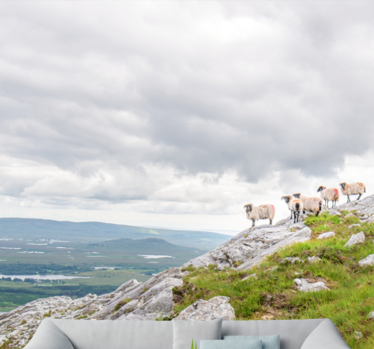 Fototapeter Övriga djur lamm på sluttningar - Tenstickers