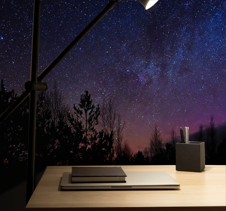 Fototapeter rymden celestial evening canvas - Tenstickers