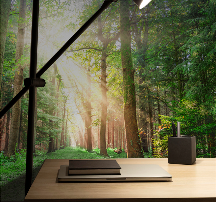 Fototapeter skogar fridfull skogsstig - Tenstickers