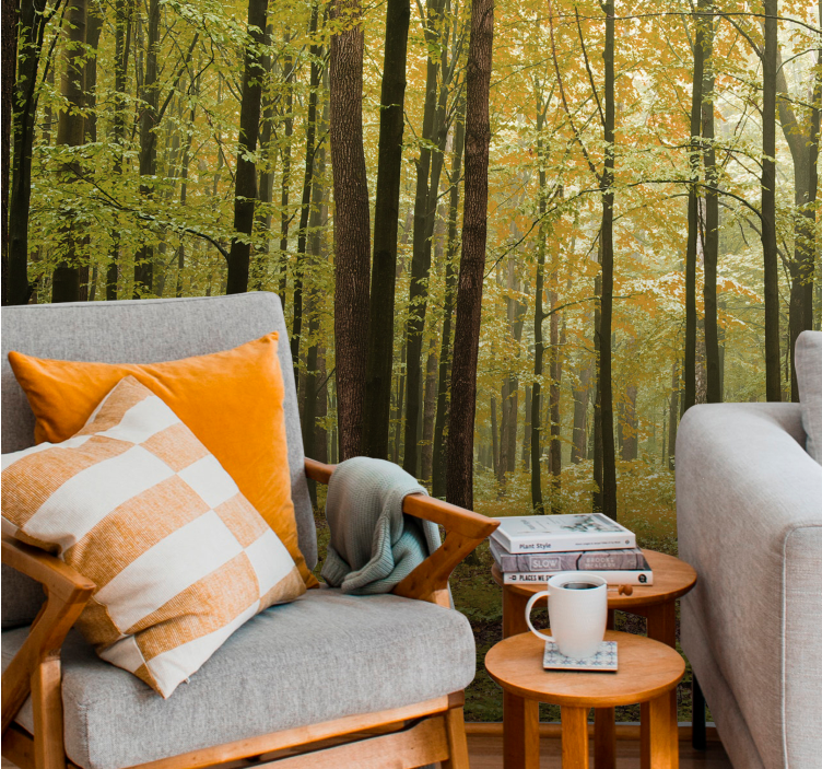 Fototapeter skogar höstskog landskap - Tenstickers