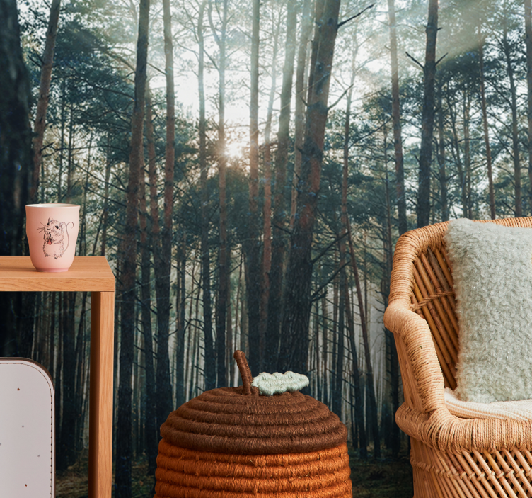 Fototapeter skogar lugn tallskog - Tenstickers