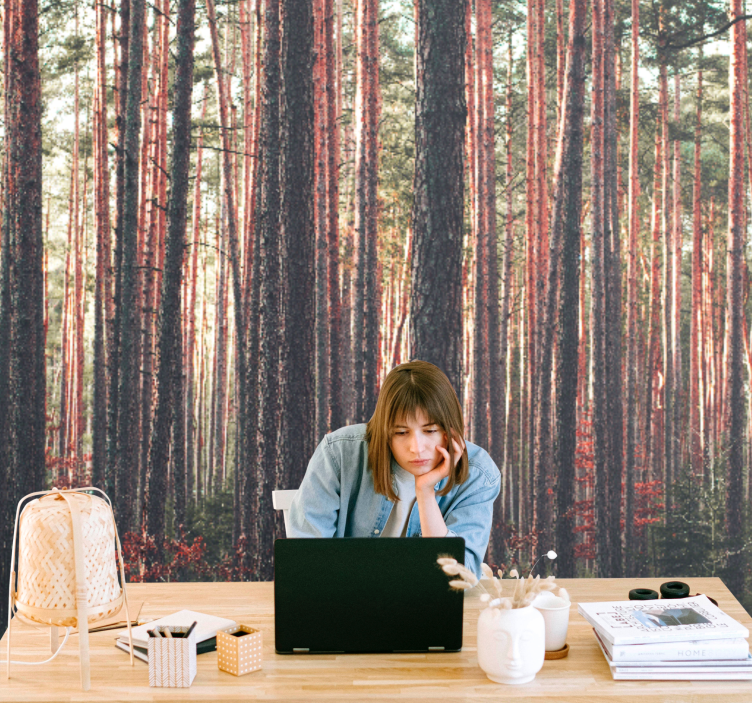 Fototapeter skogar lugna tallskogar - Tenstickers