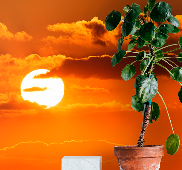 Fototapeter sky solnedgång över moln - Tenstickers