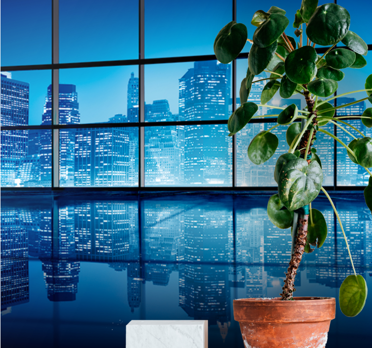 Fototapeter städer och länder nattlandskap reflektion - Tenstickers