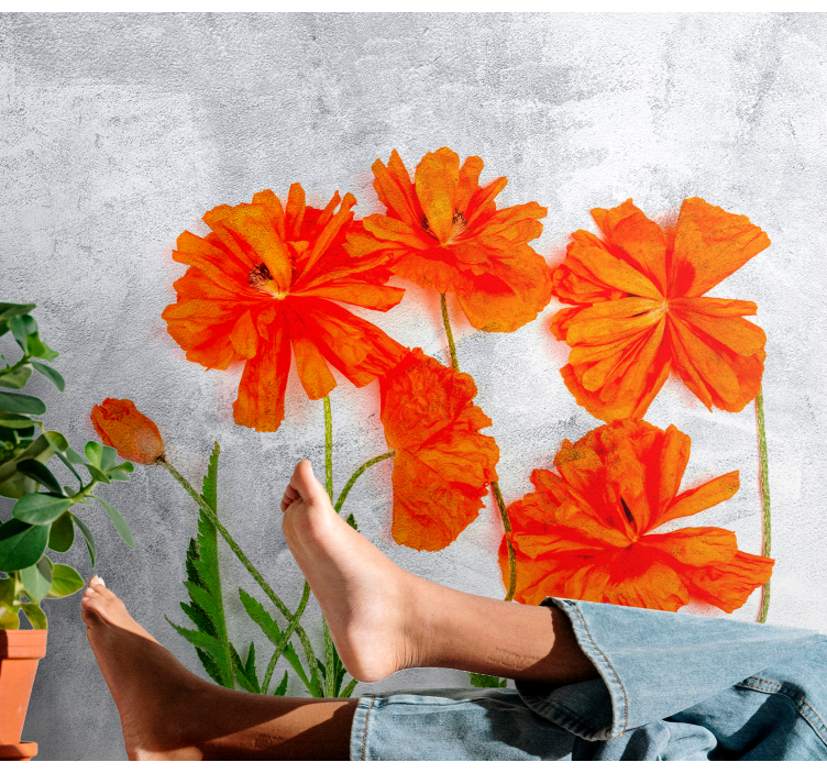 Fototapeter vallmor orange poppy blommor - Tenstickers