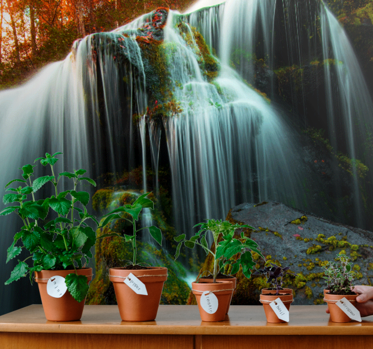 Fototapeter vattenfall mjuk fallande vatten - Tenstickers