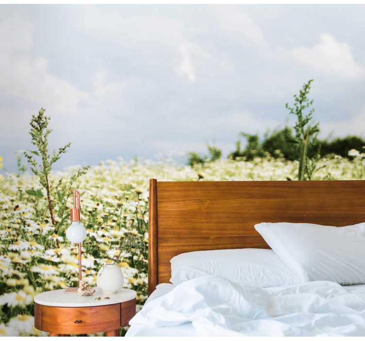 Fridfull äng av prästkragar natur fototapeta - Tenstickers