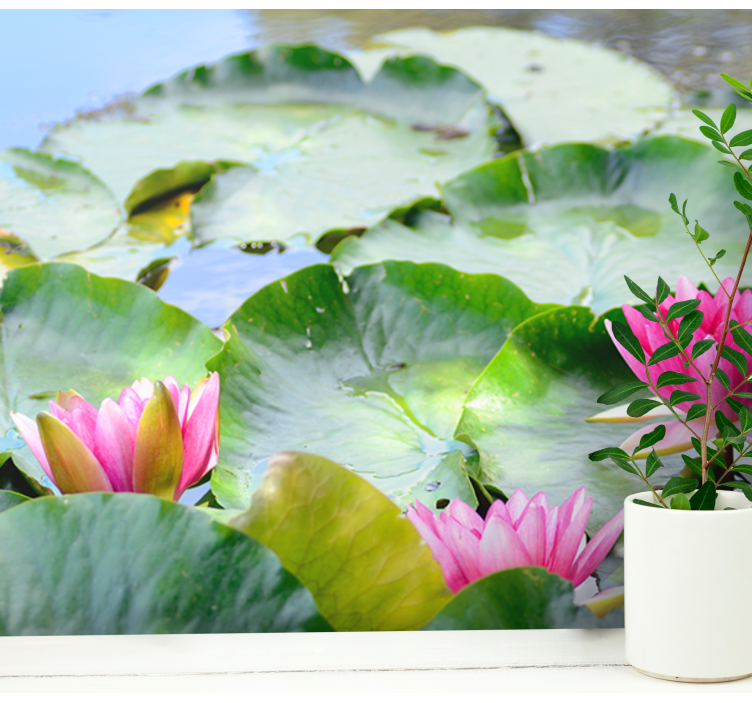 Frodiga rosa liljor Fototapeter Blommor - Tenstickers