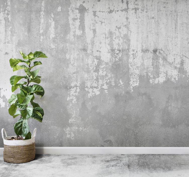 Grov betong stenfototapet - Tenstickers