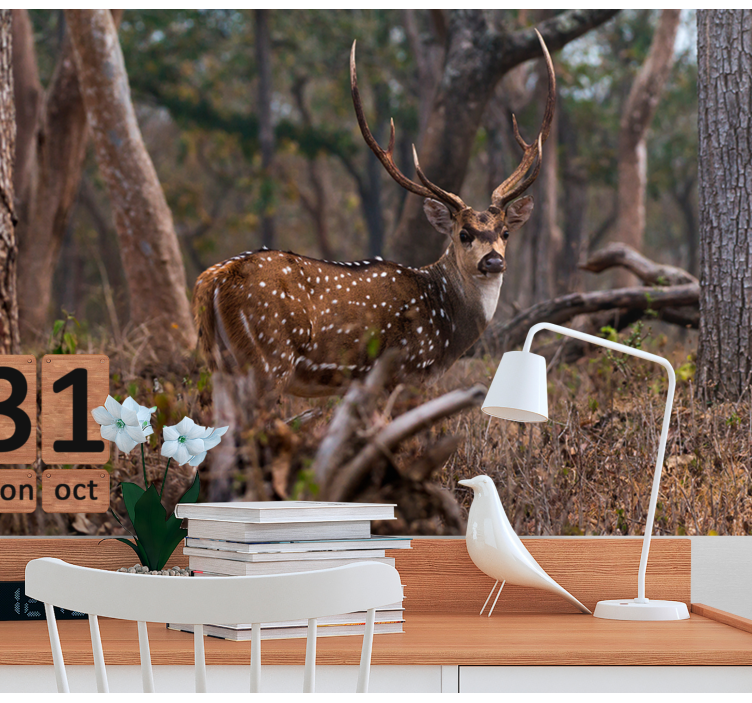 Hjort i skogen fototapeta - Tenstickers