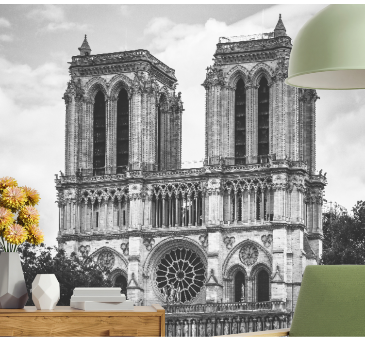 Katedralen i notre dame Fototapeter Paris - Tenstickers