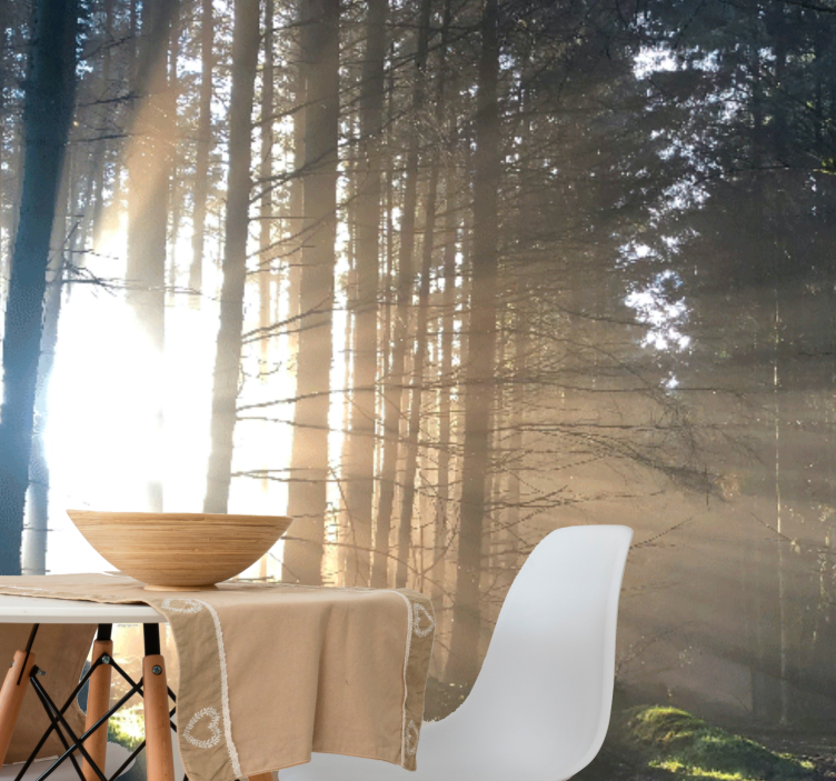 Ljus genomträngande genom träd fototapeta - Tenstickers