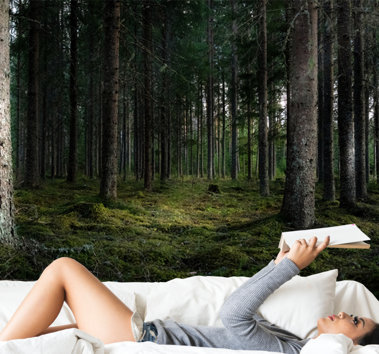 Lugnt landskap Fototapeter Skogar - Tenstickers